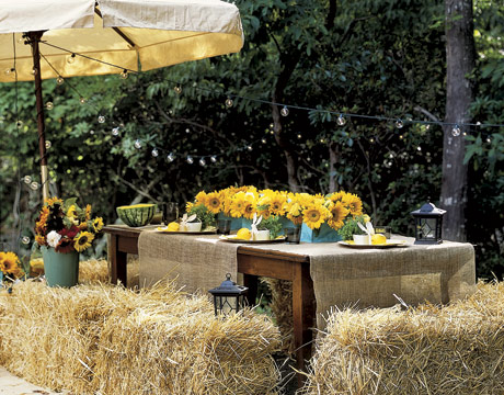 I came across these ideas from Country Living to take the party outside
